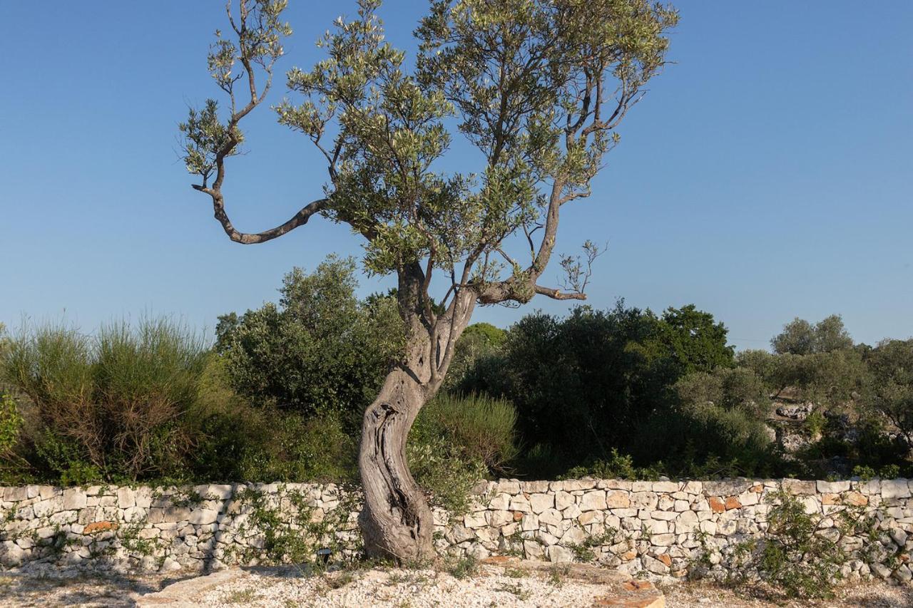 Trullo Carsico By Itriahomes Чельє-Мессапіка Екстер'єр фото